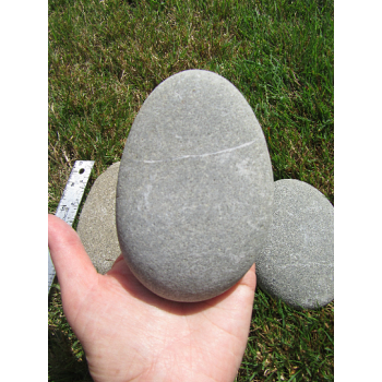 4 Flat Oblong Rocks 4 to 6 inch. Lot of 4 rocks, beach rocks for painting. Oval Stones, Flat Stones, Craft Stones, Stone Painting